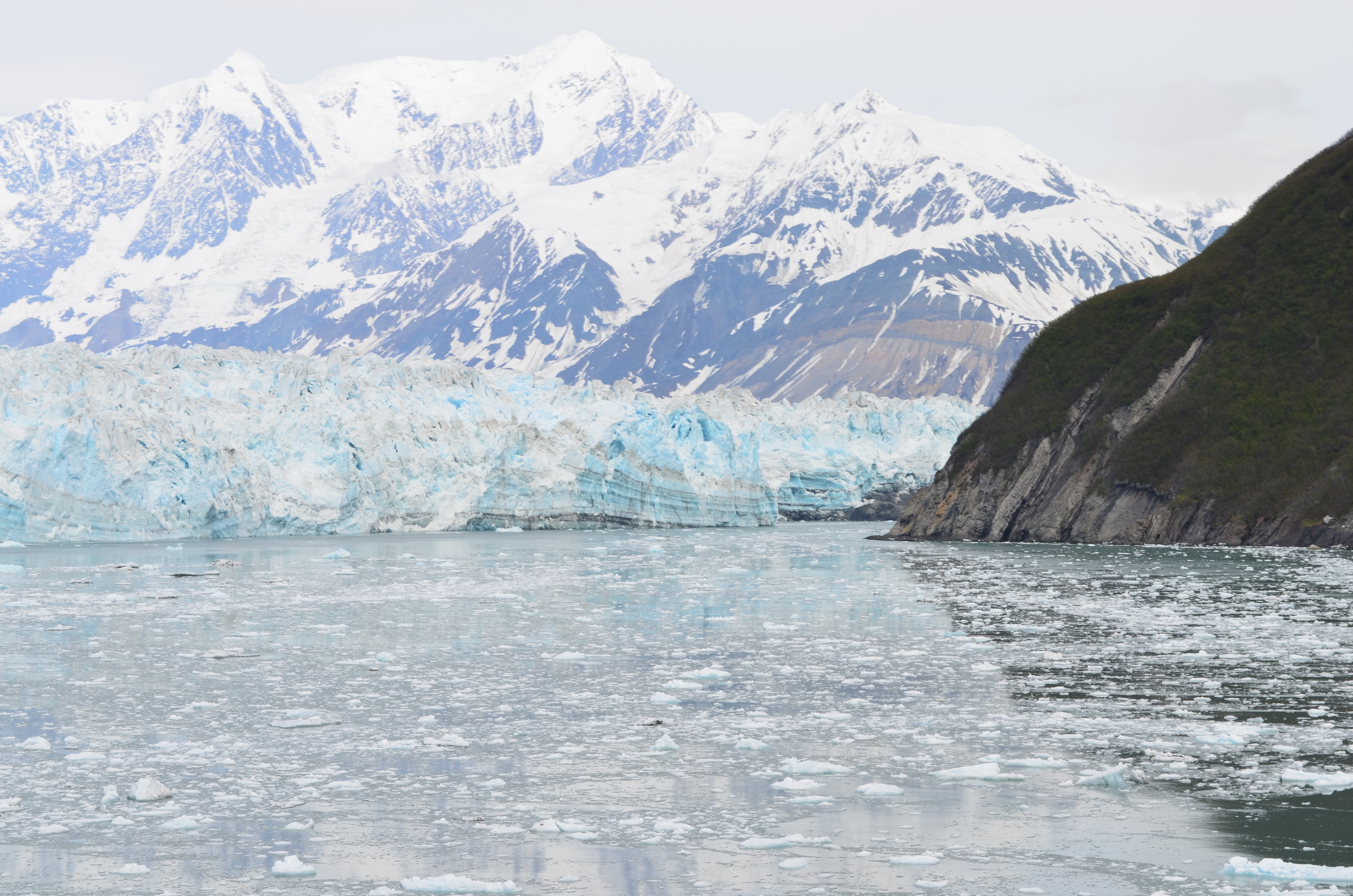 ./2017/08 - Alaska Cruise/07 - Hubbard Glacier/DSC_0759.JPG